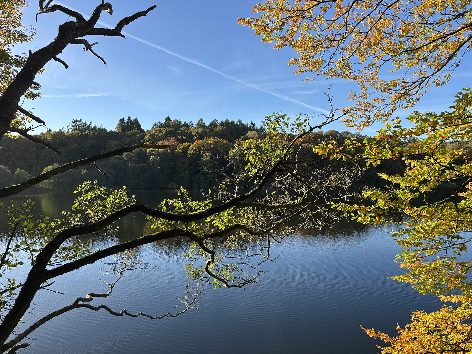 Udsigt over hald sø, Fotograf: Heidi Søndergård Mathiesen